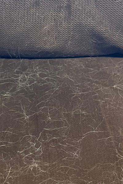 A brown couch cushion is about 60% covered with white animal hair.
